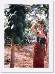 Papaya per colazione.. * 336 x 476 * (80KB)